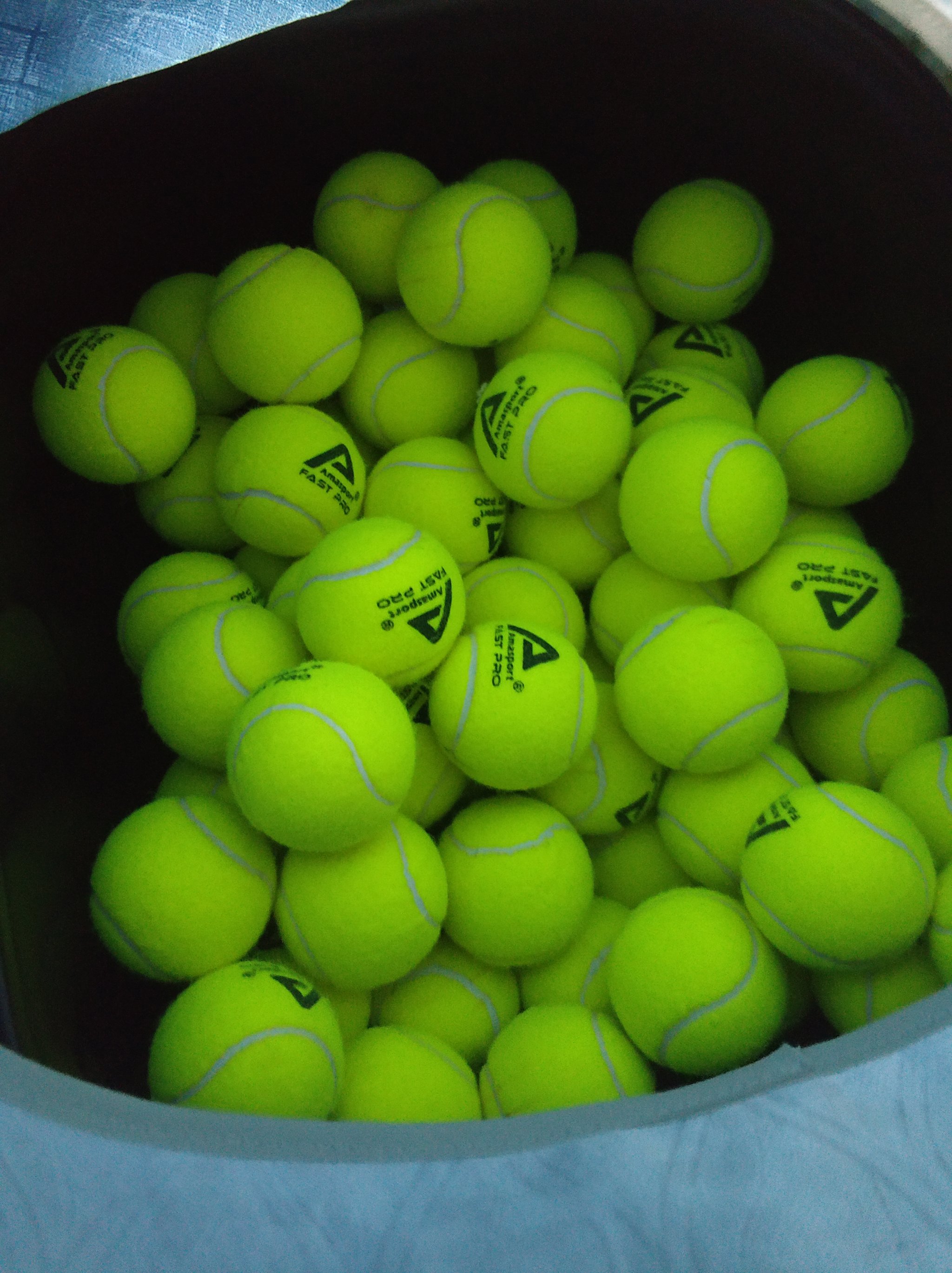 但这恰恰是 但这恰恰是