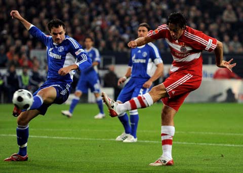 虎当前的困 虎当前的困