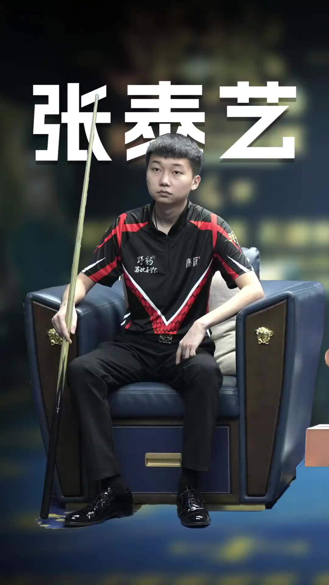 暴力行为 暴力行为