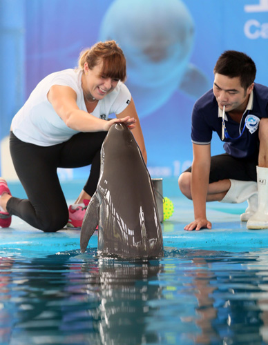 简化动作 简化动作